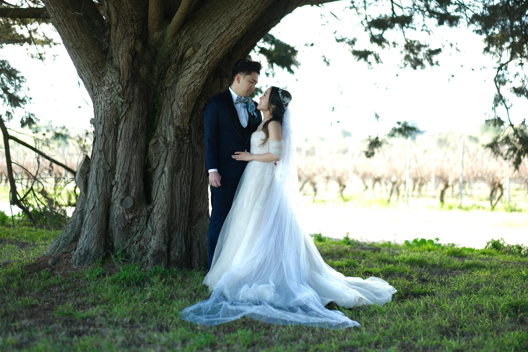 Wedding details Dandenong Ranges