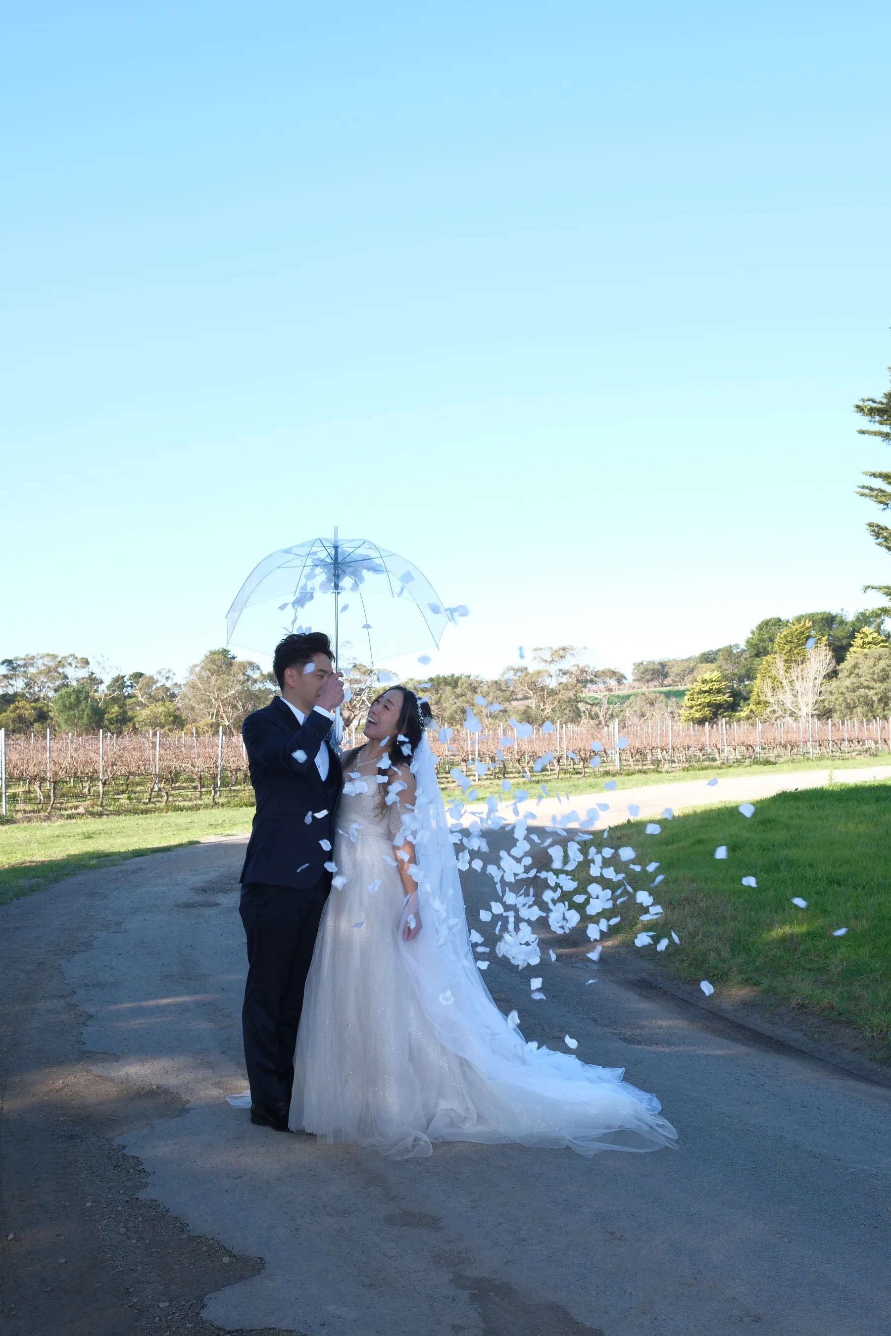 Wedding portrait Dandenong Ranges forest